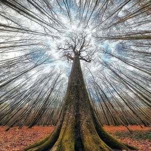 Meet your Posher, René